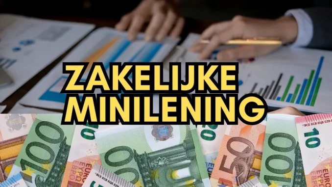 Zakelijke Minilening Zakelijke Minilening