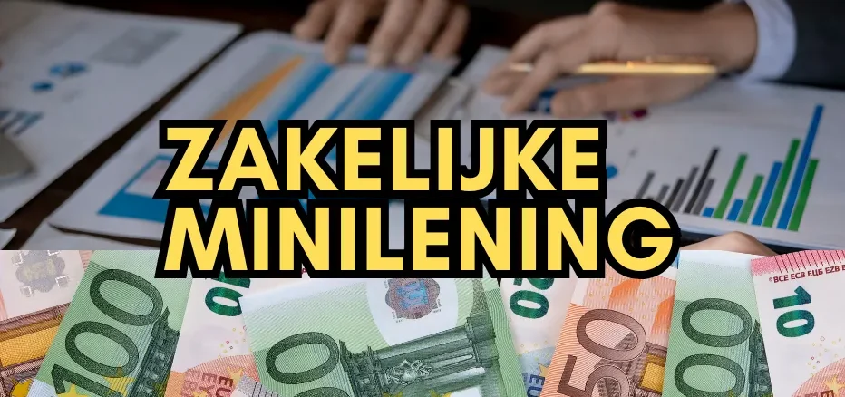 Zakelijke Minilening Zakelijke Minilening