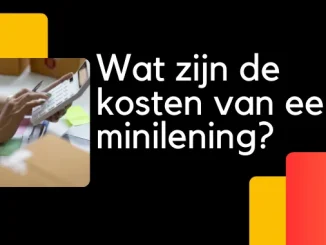 Wat zijn de kosten van een minilening?